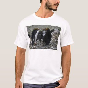 Macaroni Penguin - Pair At Nest T-Shirt