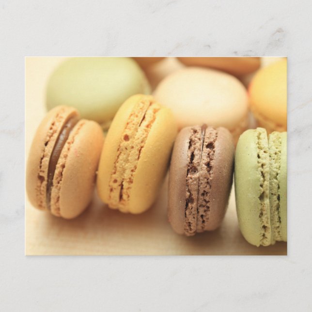 Macarons by "Provence Provence" Postcard (Front)