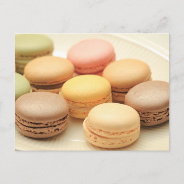 Macarons by "Provence Provence" Postcard (Front)
