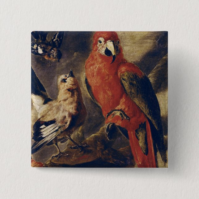 Macaw and Bullfinch 15 Cm Square Badge (Front)