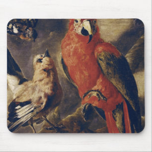 Macaw and Bullfinch Mouse Pad
