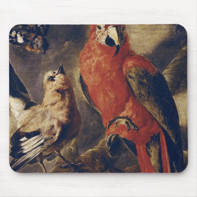 Macaw and Bullfinch Mouse Pad (Front)