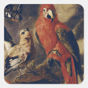 Macaw and Bullfinch Square Sticker