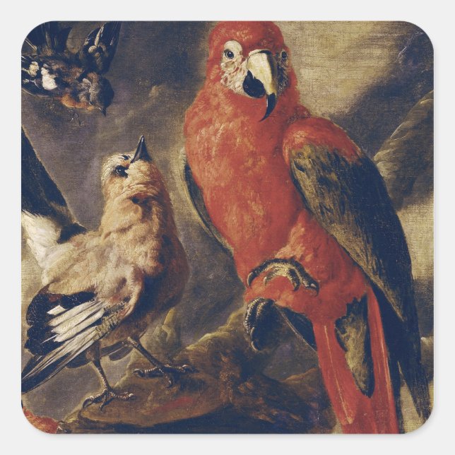 Macaw and Bullfinch Square Sticker (Front)