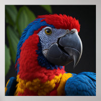 Macaw bird 3D high detail vibrant colour