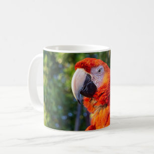 Macaw Bird Coffee Mug