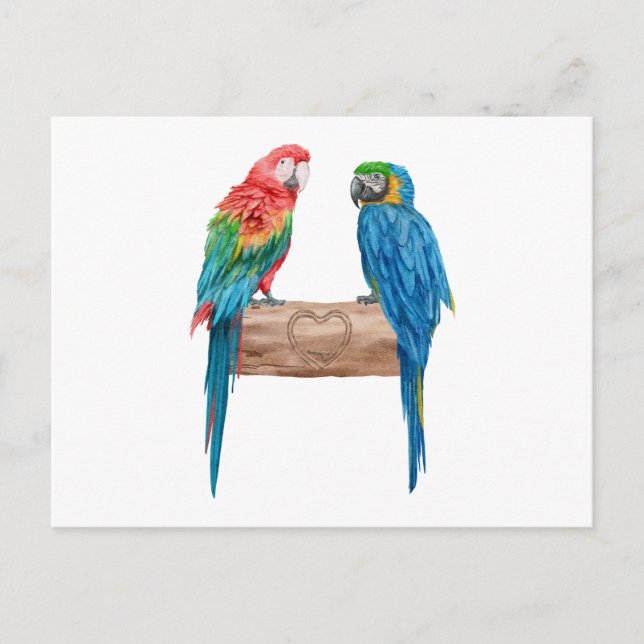 Macaw Bird Parrot Lover Watercolor Invitation Postcard (Front)