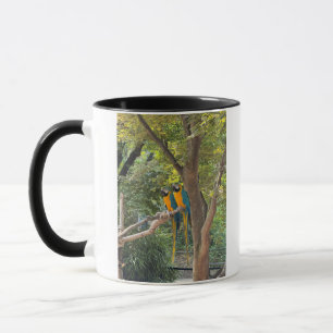 Macaw Birds Photo Mug
