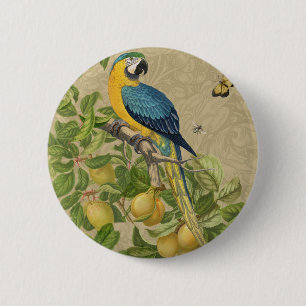 Macaw Blue Yellow Tropical Jungle Antique 6 Cm Round Badge