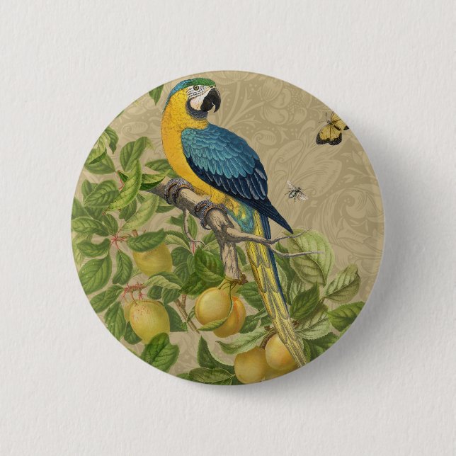 Macaw Blue Yellow Tropical Jungle Antique 6 Cm Round Badge (Front)