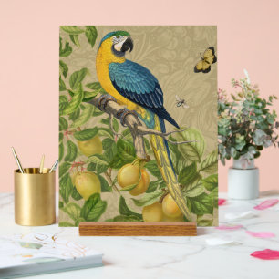 Macaw Blue Yellow Tropical Jungle Antique Acrylic Sign