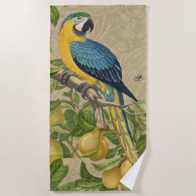 Macaw Blue Yellow Tropical Jungle Antique Beach Towel (Front)