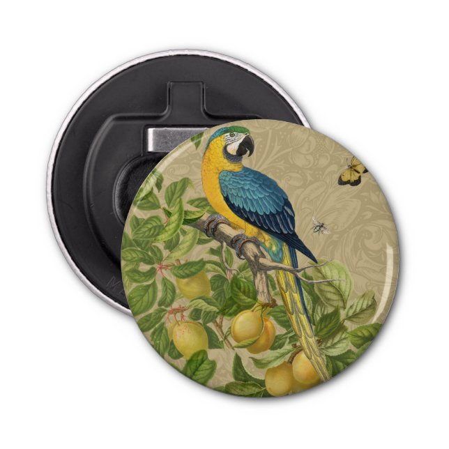 Macaw Blue Yellow Tropical Jungle Antique Bottle Opener (Front)