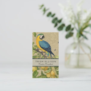 Macaw Blue Yellow Tropical Jungle Antique Business Card