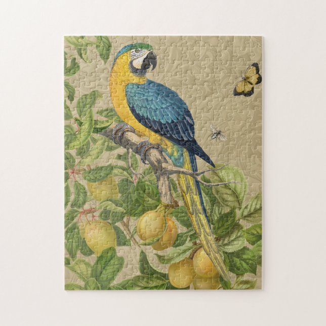 Macaw Blue Yellow Tropical Jungle Antique Jigsaw Puzzle (Vertical)