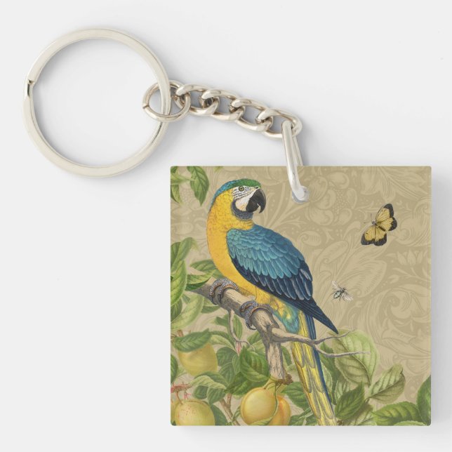 Macaw Blue Yellow Tropical Jungle Antique Key Ring (Front)