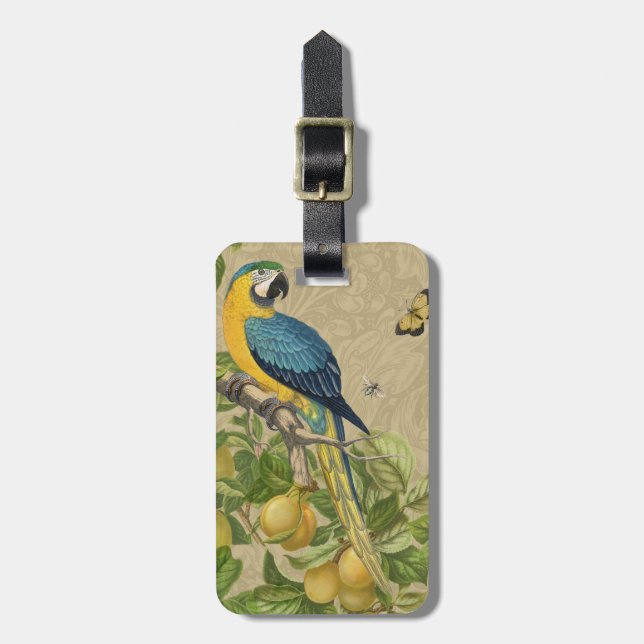 Macaw Blue Yellow Tropical Jungle Antique Luggage Tag (Front Vertical)