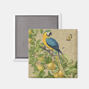 Macaw Blue Yellow Tropical Jungle Antique Magnet