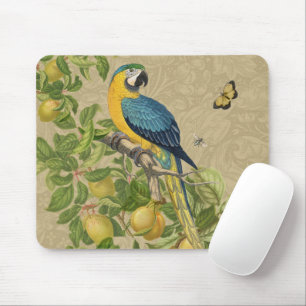 Macaw Blue Yellow Tropical Jungle Antique Mouse Pad