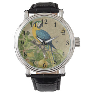 Macaw Blue Yellow Tropical Jungle Antique Watch
