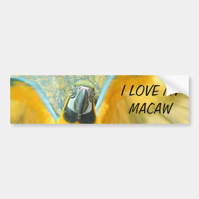 Macaw Bumper Sticker (Front)