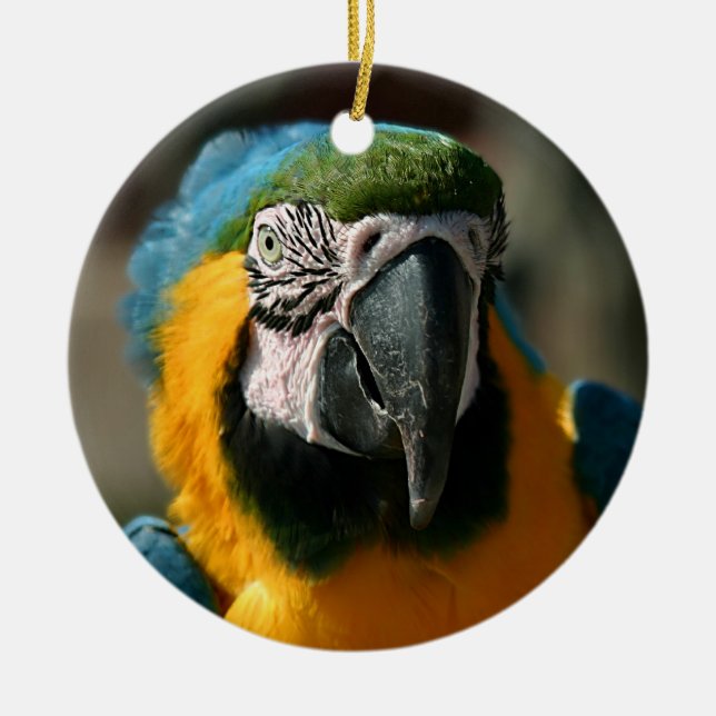 Macaw Ceramic Ornament (Front)