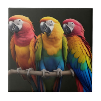 Macaw Ceramic Tile