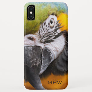 Macaw Close-Up custom monogram phone cases
