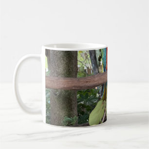 Macaw Coffee Mug