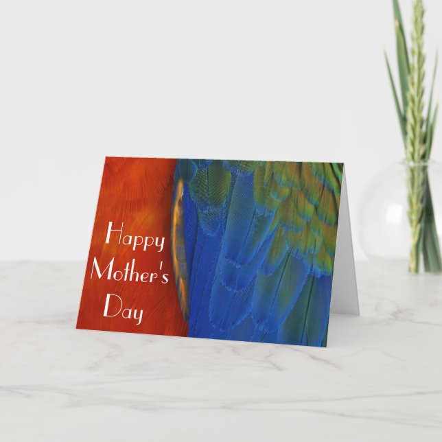 Macaw Feathers Card (Front)