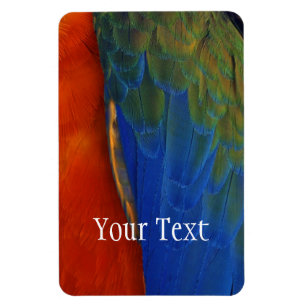 Macaw Feathers Magnet