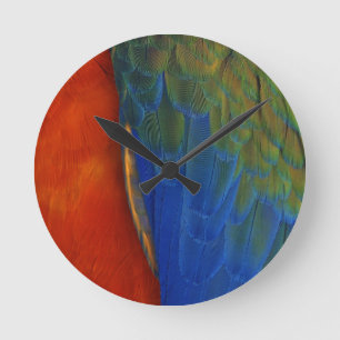 Macaw Feathers Round Clock