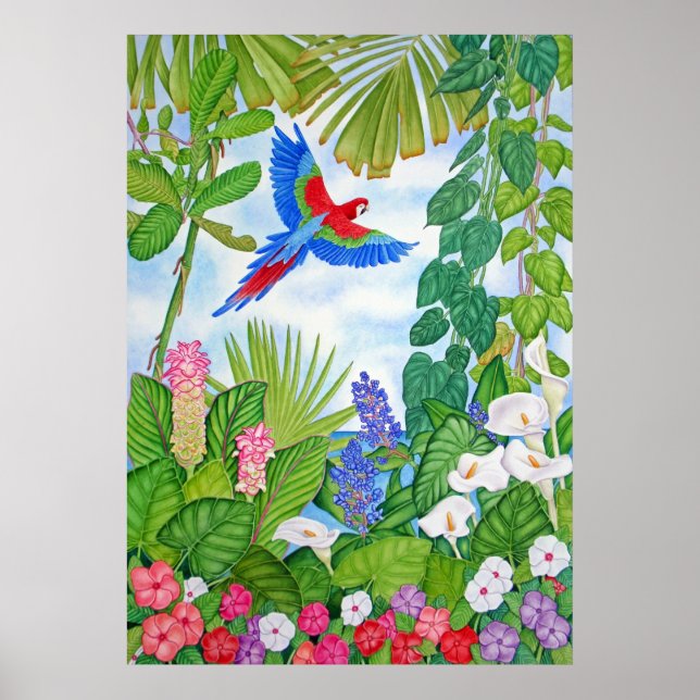 Macaw in Flight Poster (Front)