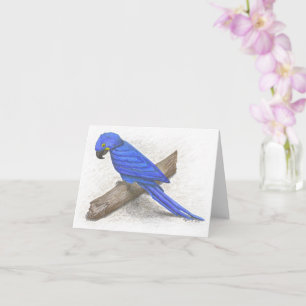 Macaw Inspirational Note Card