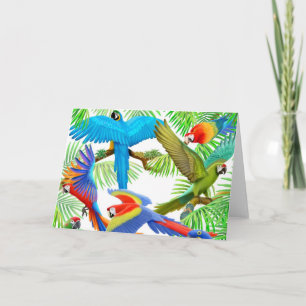 Macaw Jungle Greeting Card