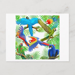 Macaw Jungle Postcard
