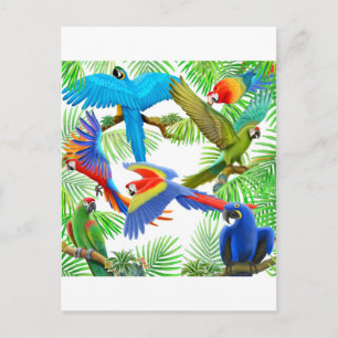 Macaw Jungle Postcard