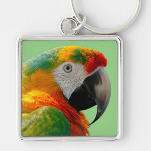 Macaw Key Ring