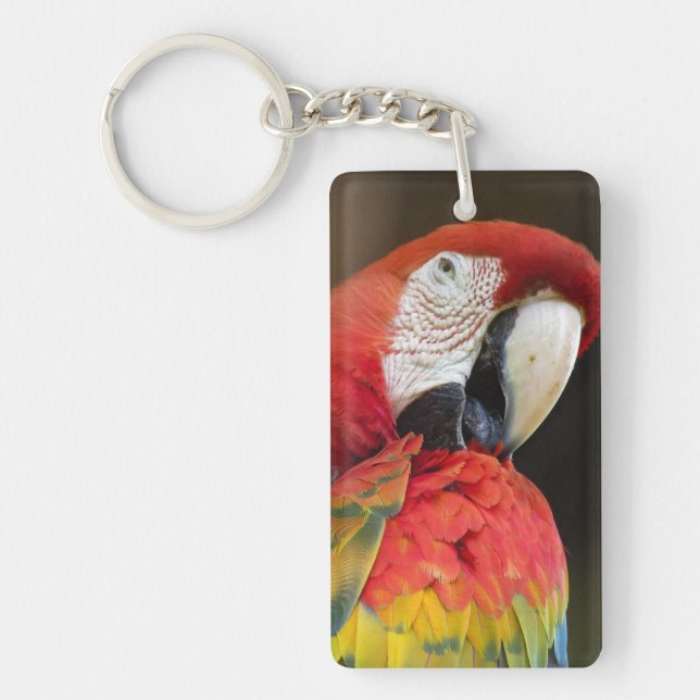 Macaw Key Ring (Front)