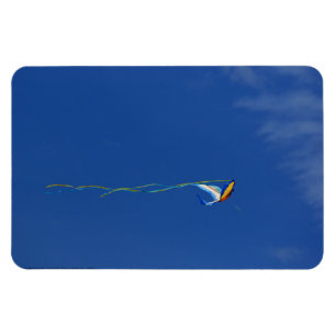 Macaw Kite Magnet
