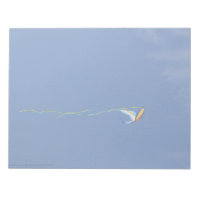 Macaw Kite