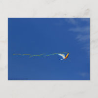 Macaw Kite