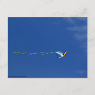 Macaw Kite Postcard