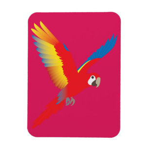 Macaw Magnet