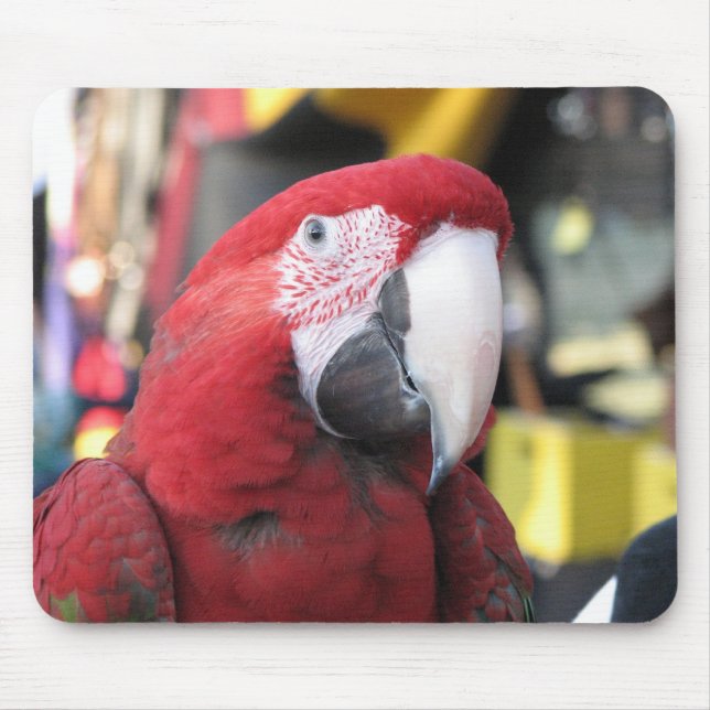 Macaw mousepad (Front)