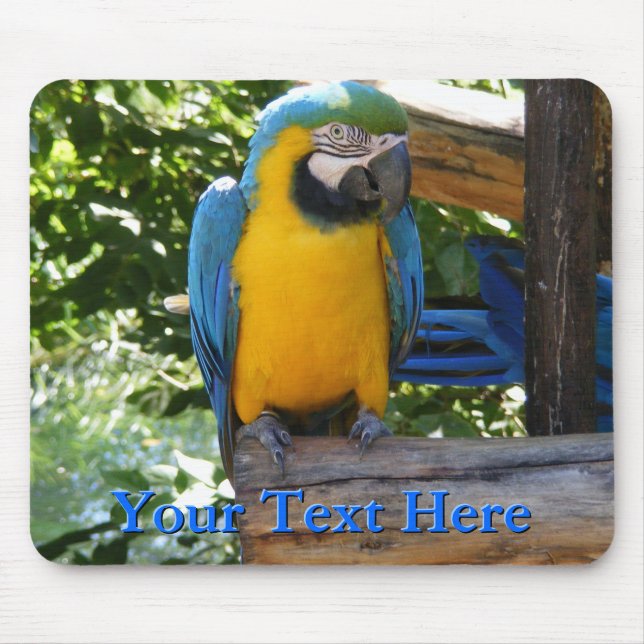 Macaw Mousepad (Front)
