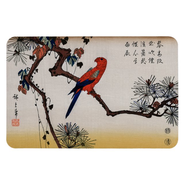 Macaw on Pine Branch, Hiroshige Magnet (Horizontal)