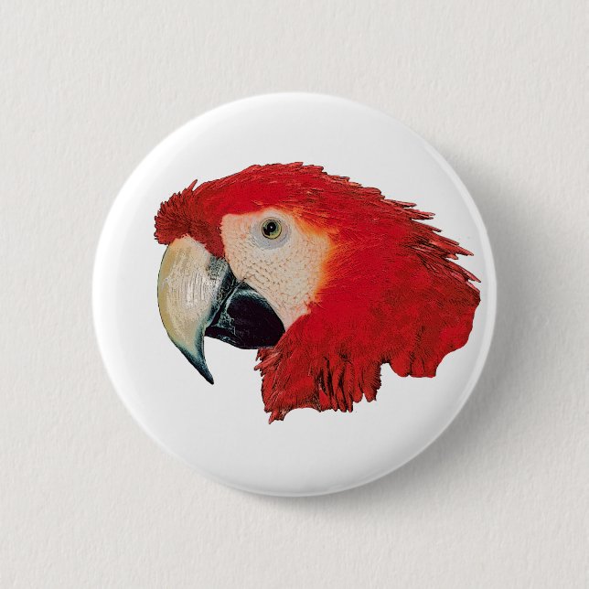 Macaw Parrot Badge Pin (Front)