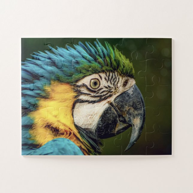 Macaw Parrot Bird Animal jigsaw puzzle (Horizontal)