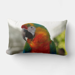 Macaw Parrot Bird Decorative Throw Pillow